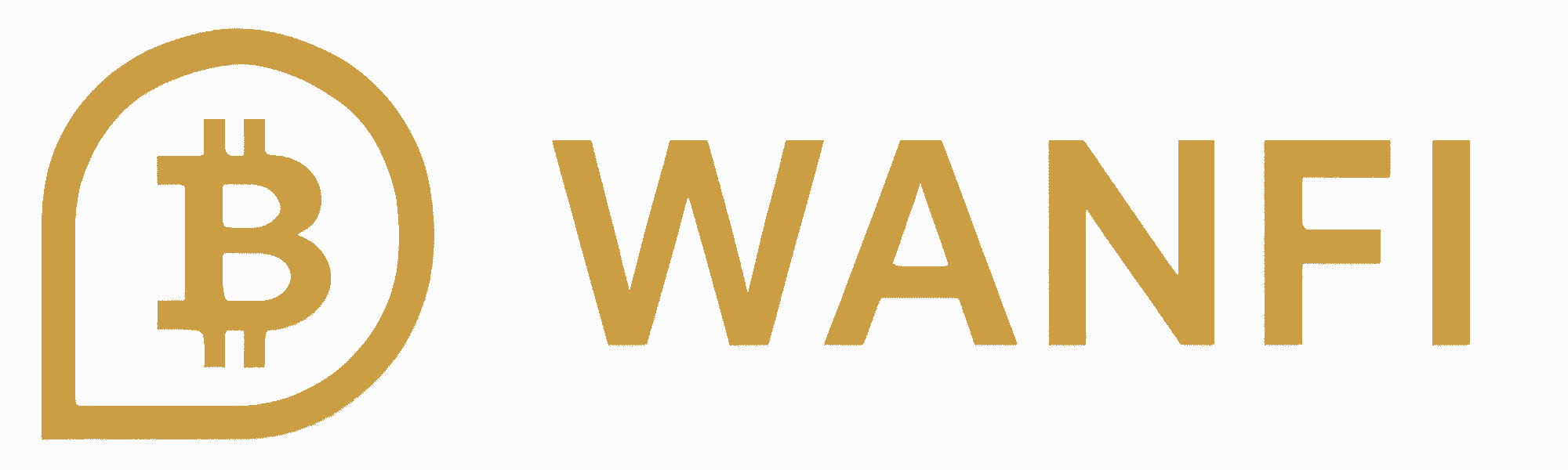 WANFI Logo